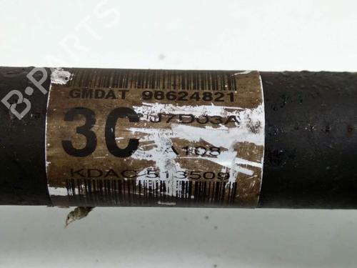  - Image 4