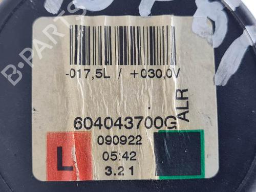 Rear left seatbelt LAND ROVER RANGE ROVER SPORT I (L320) 3.0 D 4x4 | BP29198948I29 