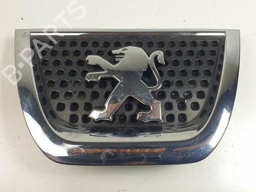 Used Grille PEUGEOT 3008 I MPV (0U_) 1.6 HDi (109 hp) 28418614