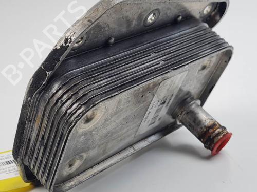 Oil radiator MERCEDES-BENZ SPRINTER 3,5-t Van (B906) 311 CDI (906.631, 906.633, 906.635, 906.637) | BP25000151M33 