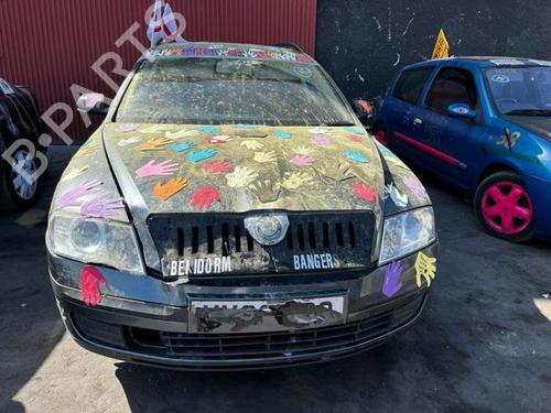 Engine SKODA OCTAVIA II Combi (1Z5) 1.9 TDI | BP13090742M1 