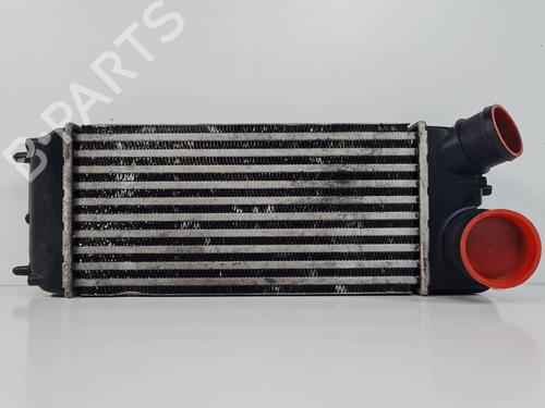 Intercooler Intercooler FORD FIESTA VI (CB1, CCN) 1.6 TDCi (90 hp) 34513179 34513179