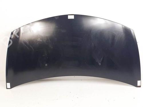 Used Hood RENAULT CLIO III (BR0/1, CR0/1) 1.5 dCi (BR0H, CR0H, CR1S, BR1S) (106 hp) 19137214