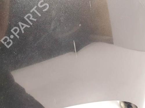 Hood RENAULT SCÉNIC III (JZ0/1_) 1.9 dCi (JZ0J, JZ1J, JZ1K, JZ1S) | BP28065801C1