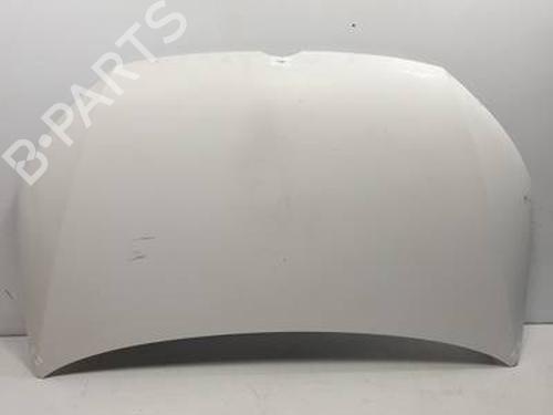 Panser VW CADDY III Box Body/MPV (2KA, 2KH, 2CA, 2CH) 1.6 TDI (102 hp) 31240811