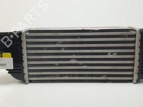 Used Intercooler Intercooler CITROËN C5 III (RD_) 2.0 HDi 165 (RDRHHA, RDRHH8) (163 hp) 24930878 24930878
