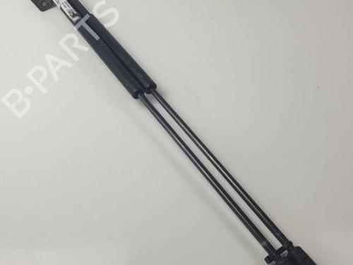 Used Tailgate lift support HYUNDAI SANTA FÉ I (SM) 2.0 CRDi (113 hp) 22214130