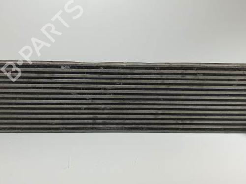 Ladeluftkühler für RENAULT MASTER II Bus (JD) 2.5 dCi (JD01, JD02, JD11, JD12, JD1W) (120 hp) 29172572