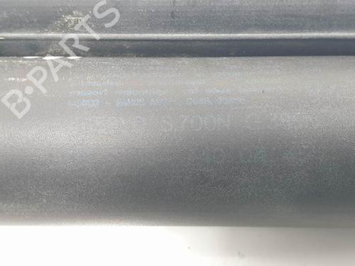 Tailgate lift support MERCEDES-BENZ M-CLASS (W164) ML 320 CDI 4-matic (164.122) | BP13956601C138 