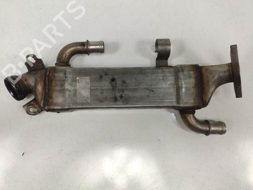 Egr MERCEDES-BENZ M-CLASS (W163) ML 270 CDI (163.113) | BP13955379M69 