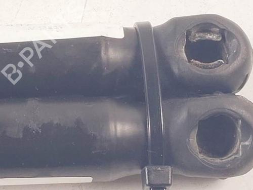 Tailgate lift support DACIA SANDERO II 1.6 | BP18956352C138 - Image 2