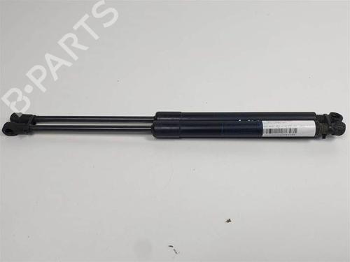Used Hood lift support BMW 1 (E87) 120 d (177 hp) 22332329