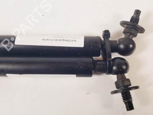 Hood lift support TOYOTA LAND CRUISER PRADO (_J12_) 3.0 D-4D (KDJ120, KDJ125, KDJ121) | BP18009655C139 