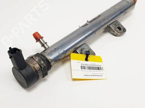 Used Injection rail Injection rail LAND ROVER DISCOVERY IV (L319) 3.0 TD 4x4 (245 hp) 18408852 18408852