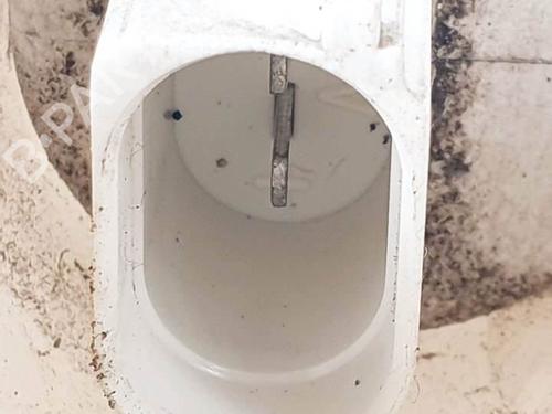 Windscreen washer tank LAND ROVER RANGE ROVER SPORT I (L320) 3.6 D 4x4 | BP17701258C113 