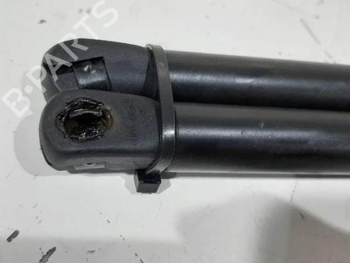 Tailgate lift support MERCEDES-BENZ M-CLASS (W163) ML 270 CDI (163.113) | BP13952976C138 