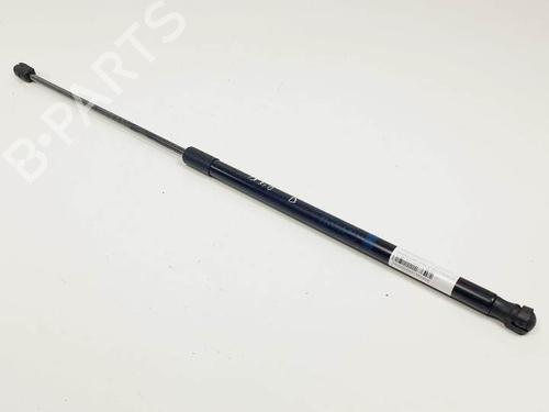 Used Hood lift support MERCEDES-BENZ C-CLASS (W204) C 220 CDI (204.002) (170 hp) 25144116