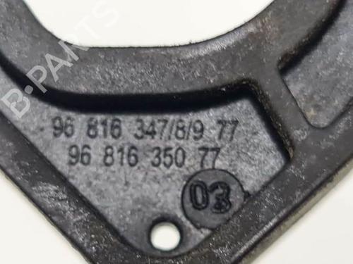 Rear left exterior door handle PEUGEOT 308 I (4A_, 4C_) 1.6 16V | BP6989195C130 