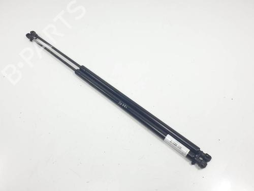 Used Tailgate lift support Tailgate lift support RENAULT SCÉNIC III (JZ0/1_) 1.9 dCi (JZ0J, JZ1J, JZ1K, JZ1S) (131 hp) 28065791 28065791