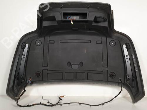 Tailgate RENAULT MEGANE II (BM0/1_, CM0/1_) 2.0 16V (BM0U, CM0U) | BP6853602C6 