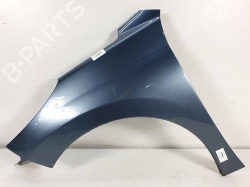Used Left front fenders PEUGEOT 207 (WA_, WC_) 1.4 HDi (68 hp) 29726509
