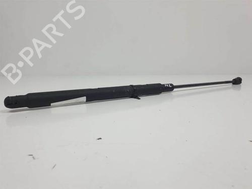 Used Hood lift support MERCEDES-BENZ M-CLASS (W164) ML 320 CDI 4-matic (164.122) (224 hp) 21251466