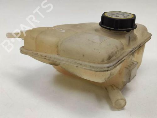 Expansion tank FORD FOCUS C-MAX (DM2) 1.6 TDCi | BP9835784C120 