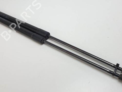 tailgate-lift-support-citroen-c3-picasso-sh_-2008-24915914 main image