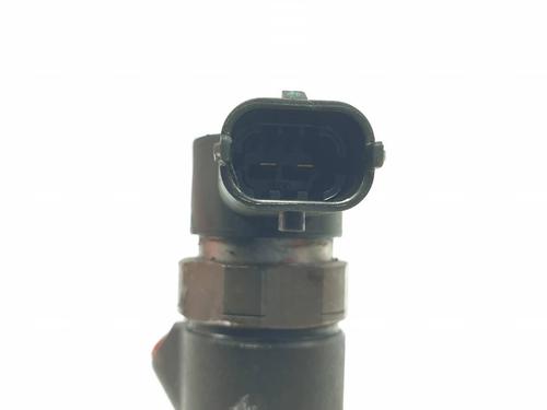 Injector VOLVO S80 II (124) D5 | BP29696822M100 