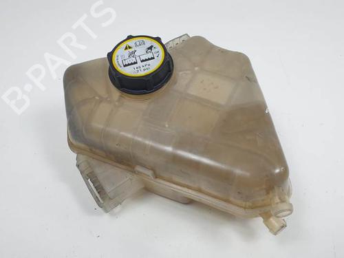 Expansion tank FORD FIESTA VI (CB1, CCN) 1.4 TDCi | BP12387427C120 