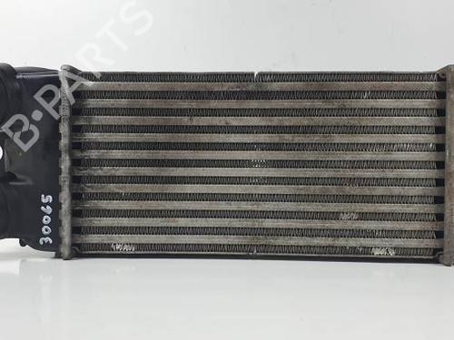 Intercooler CITROËN XSARA PICASSO (N68) 1.6 HDi | BP25931680M30 