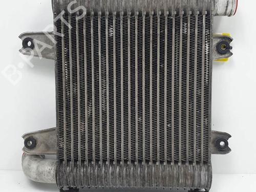 Intercooler KIA CARNIVAL II (GQ) 2.9 CRDi | BP18653714M30 