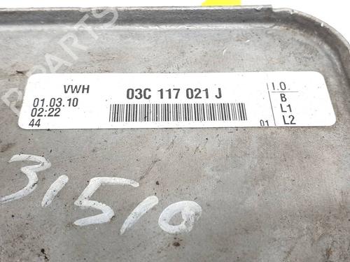 Oil radiator VW GOLF VI (5K1) 1.4 TSI | BP29989950M33