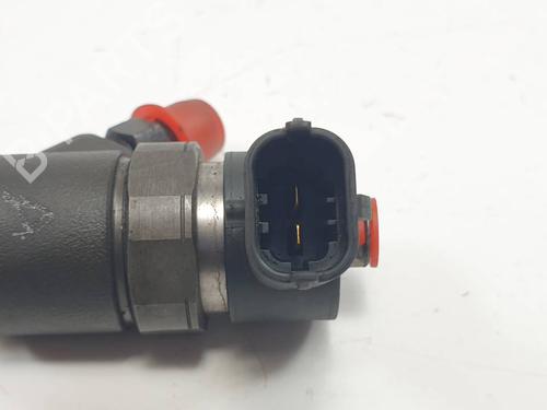 Injector VOLVO S80 II (124) D5 | BP29696821M100 