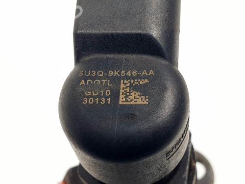 Injector JAGUAR S-TYPE II (X200) 2.7 D | BP25139538M100 
