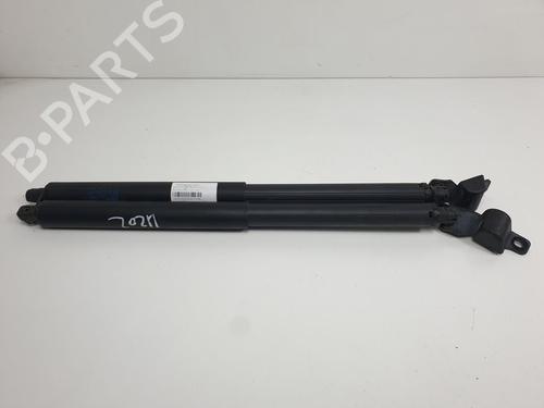 Gassdemper Bakluke BMW X5 (E70) xDrive 30 d (235 hp) 13956767