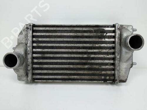 Intercooler CHRYSLER VOYAGER IV (RG, RS) 2.5 CRD | BP8310907M30 