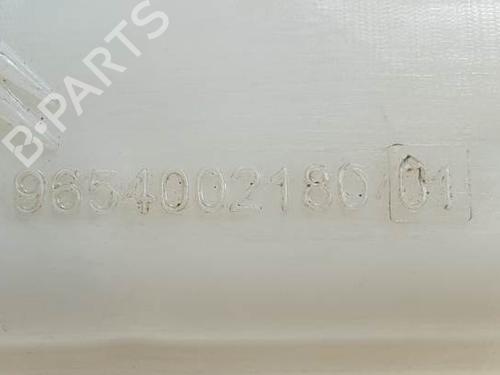 Brake master cylinder DS DS 5 (KF_) 2.0 Hybrid4 4x4 | BP15615049M77 