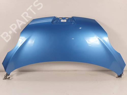 BP29932598C1 main image