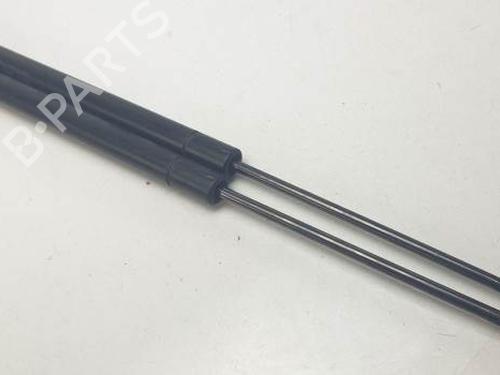 Used Tailgate lift support MAZDA TRIBUTE (EP) 3.0 V6 24V 4WD (EPFW) (197 hp) 24934597