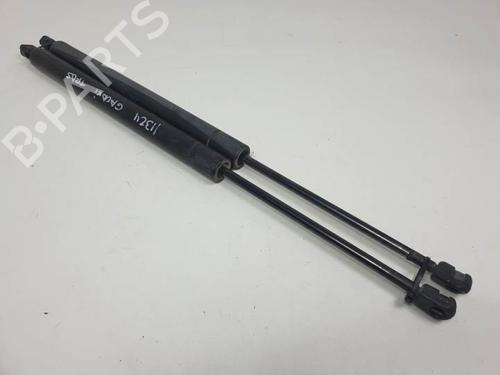Tailgate lift support FORD GALAXY I (WGR) 2.3 16V | BP13956945C138 