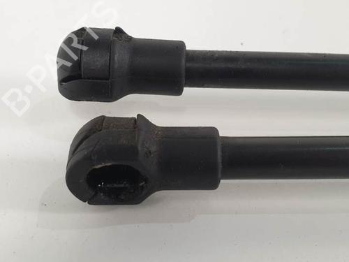 Hood lift support BMW 6 Convertible (E64) 635 d | BP13953075C139 