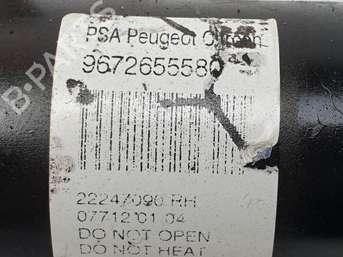 Right front shock absorber CITROËN C3 II (SC_) 1.4 HDi 70 (SC8HZC, SC8HR0, SC8HP4) | BP28027550M17 - Image 3