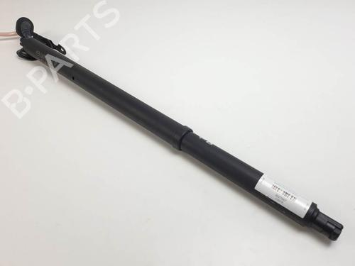 Used Tailgate lift support Tailgate lift support MAZDA CX-30 (DM) SKYACTIV-G M Hybrid (122 hp) 24915681 24915681