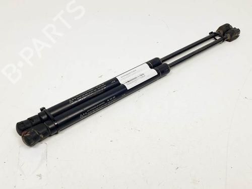 Tailgate lift support CHEVROLET AVEO / KALOS Hatchback (T250, T255) 1.2 | BP16495425C138 