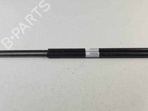 Tailgate lift support FIAT TALENTO Bus (296_)  91168256  | 8200162697