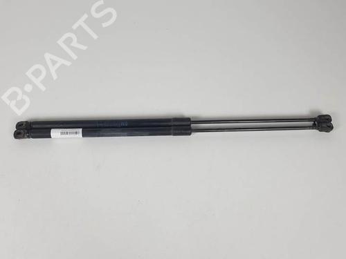 Used Tailgate lift support OPEL CORSA D (S07) 1.3 CDTI (L08, L68) (75 hp) 13956541