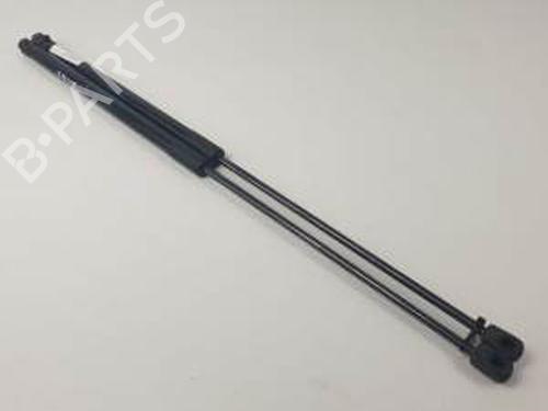 hood-lift-support-land-rover-range-rover-evoque-l538-2011-2012-2013-2014-2015-2016-2017-2018-2019-25144395 main image