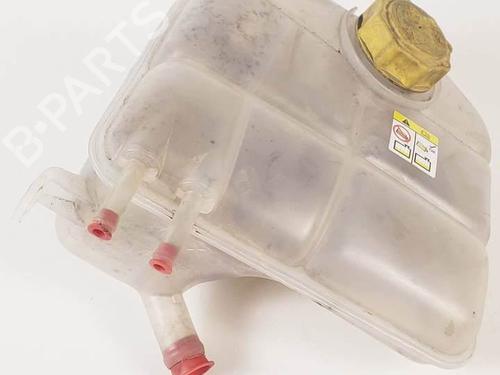Used Expansion tank FORD TOURNEO CONNECT 1.8 TDCi (90 hp) 17648979