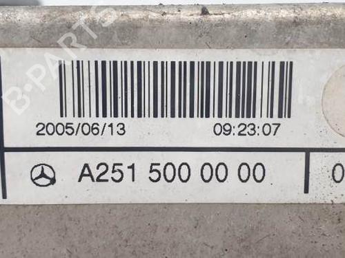 Intercooler MERCEDES-BENZ M-CLASS (W164) ML 320 CDI 4-matic (164.122) | BP20510736M30 
